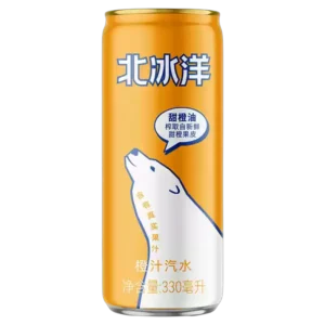 ARCTIC OCEAN FIZZY DRINK ORANGE FLAVOUR 330ml 北冰洋 橙汁汽水