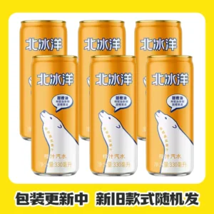 ARCTIC OCEAN FIZZY DRINK ORANGE FLAVOUR 330mlx6 北冰洋橙汁汽水330mlx6